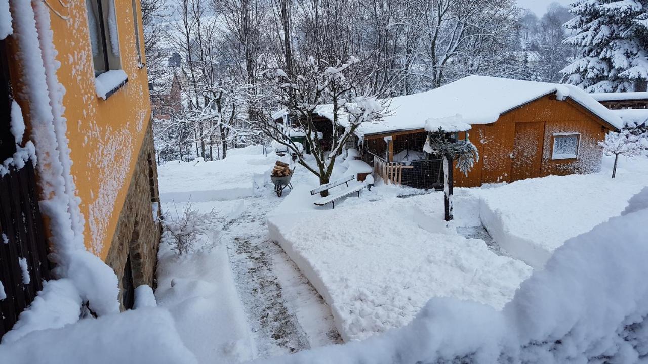 Waldhufenidyll Koenigswalde Im Erzgebirge Konigswalde Exterior foto
