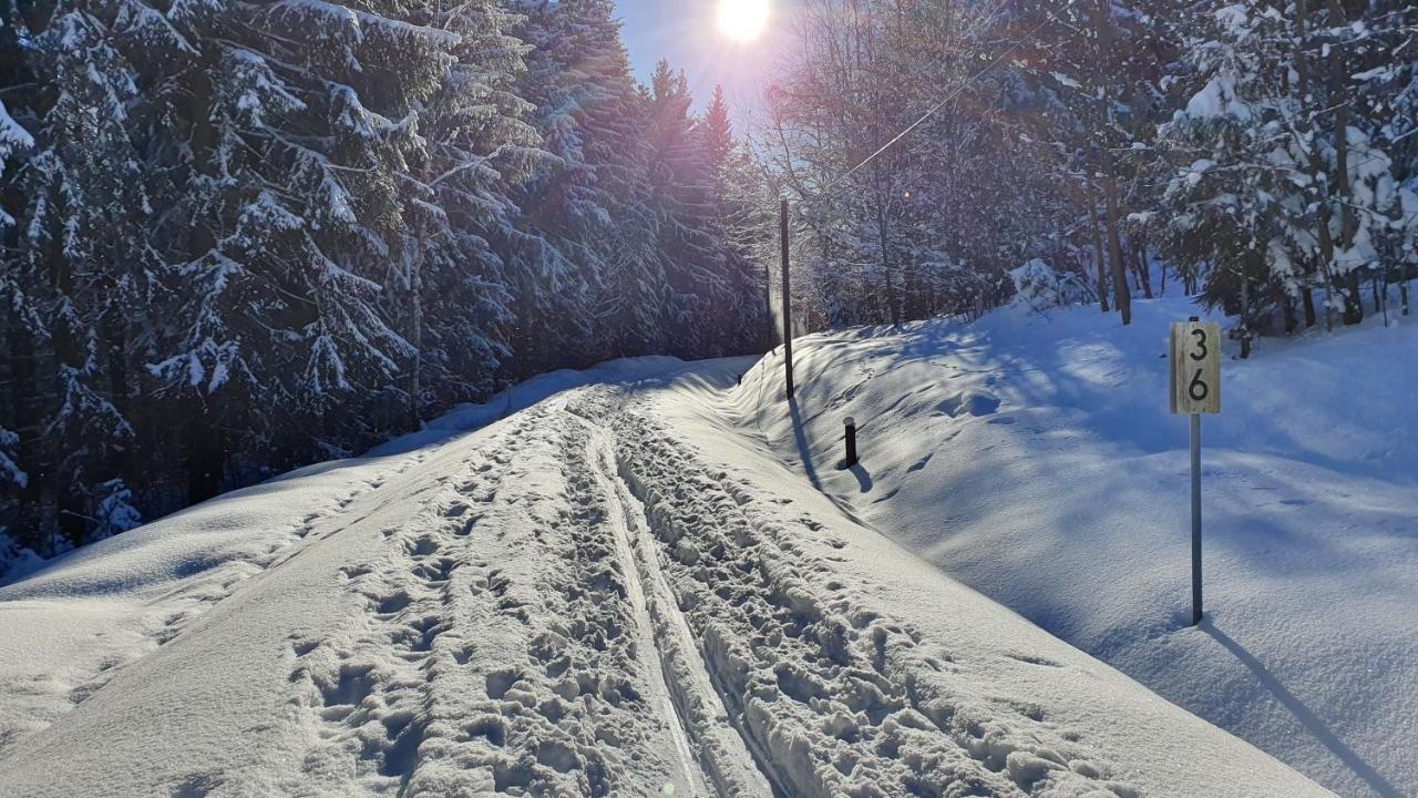 Waldhufenidyll Koenigswalde Im Erzgebirge Konigswalde Exterior foto
