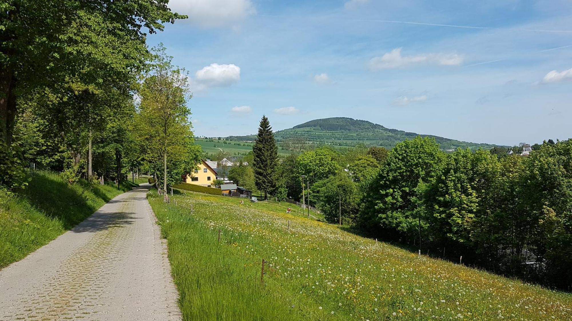 Waldhufenidyll Koenigswalde Im Erzgebirge Konigswalde Exterior foto